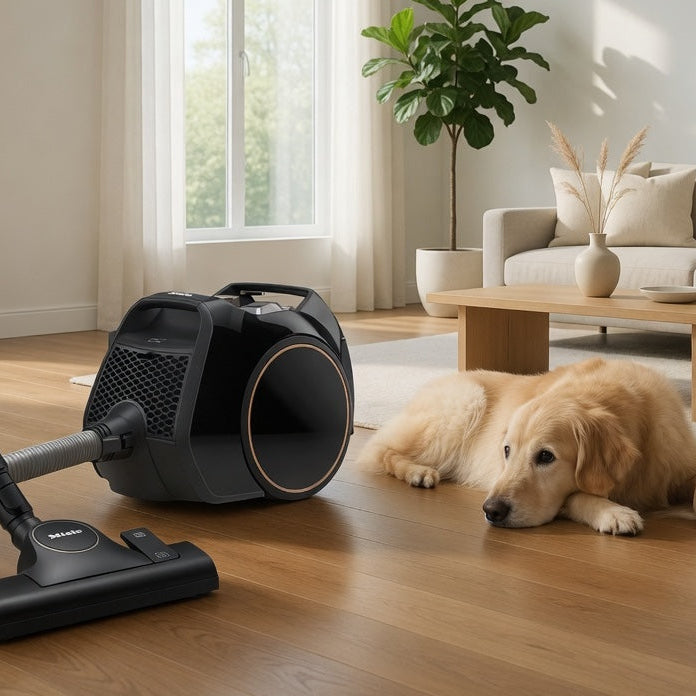 Bagless Vacuums Bagless Vacuums