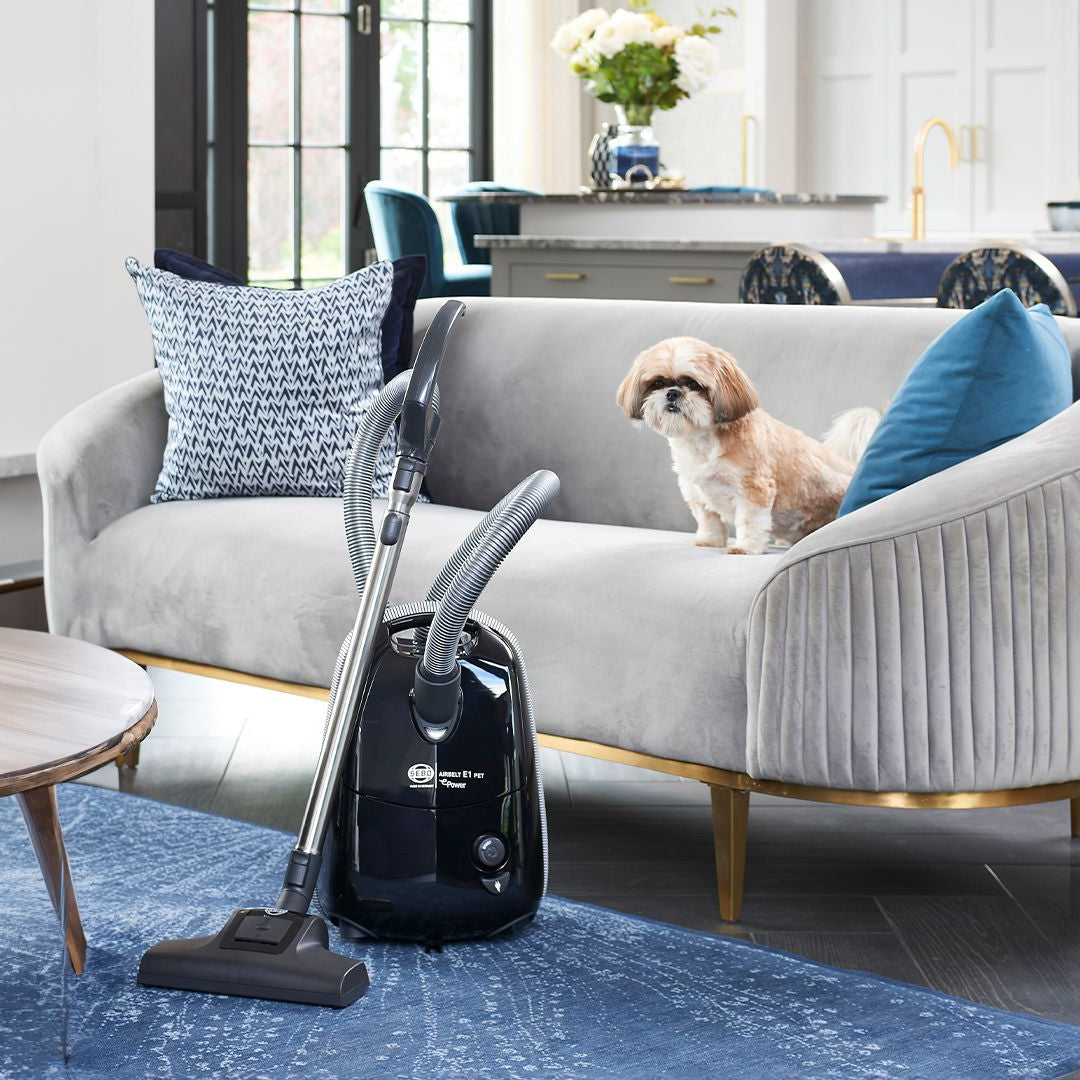 Vacuums for Low Pile Rugs