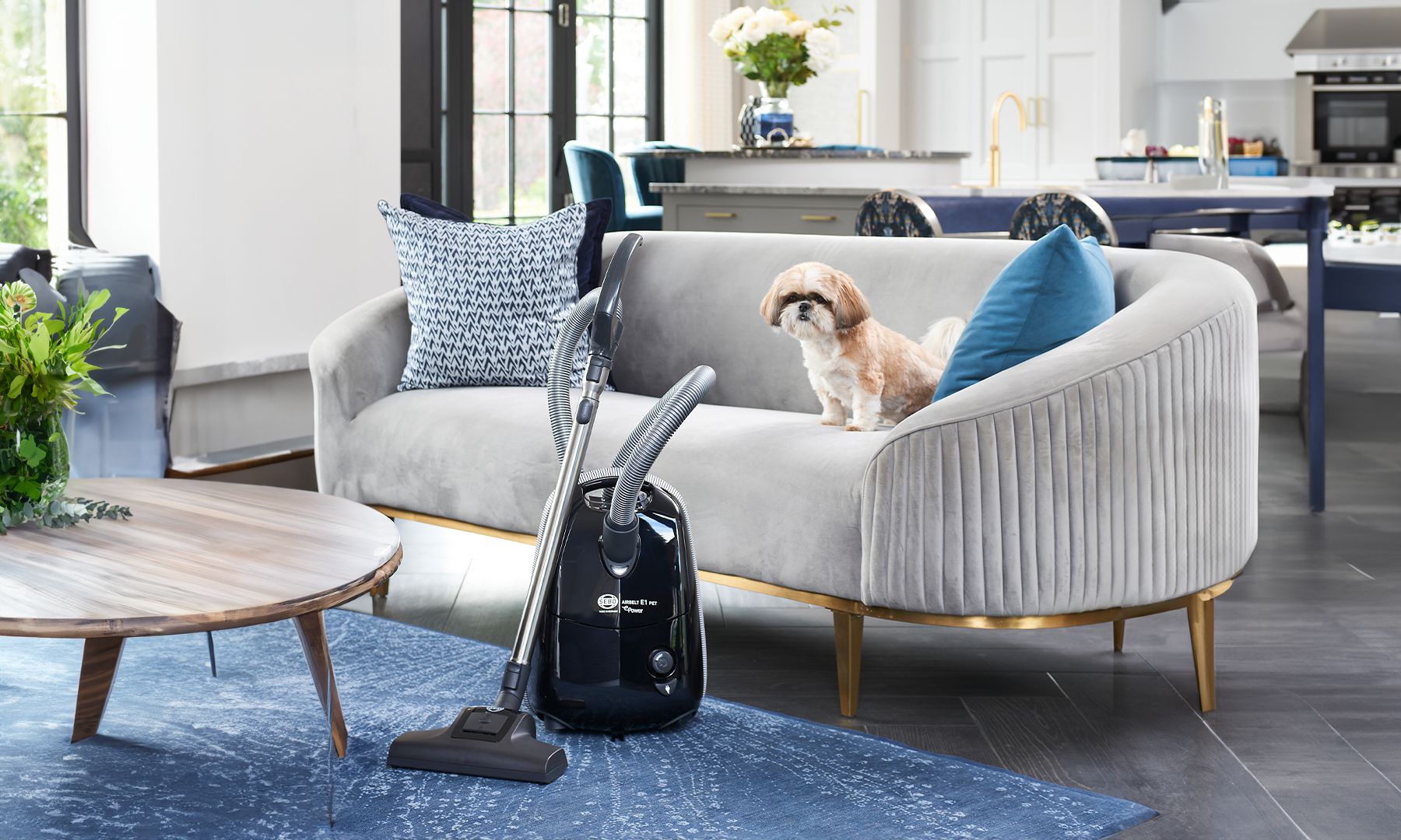 Vacuums for Low Pile Rugs