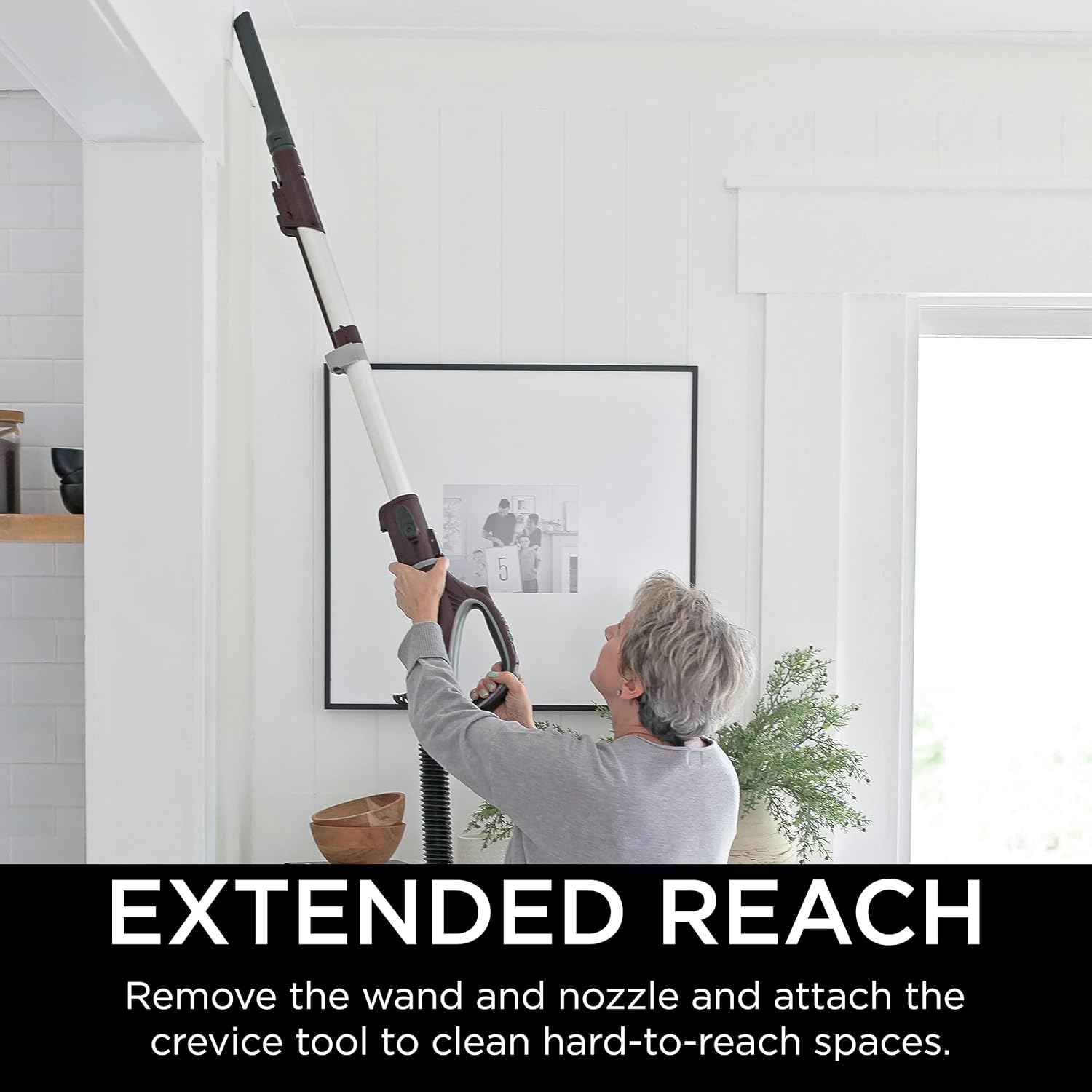Shark Rotator Powered Lift-Away TruePet Upright Vacuum Shark Rotator Powered Lift-Away TruePet Upright Vacuum