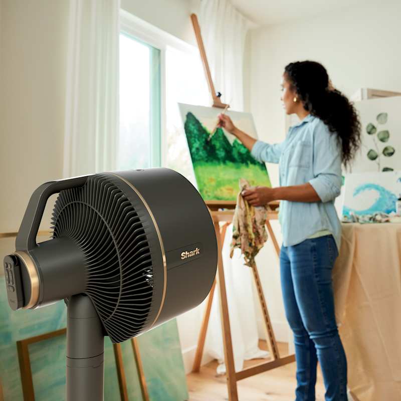 Shark FlexBreeze Fan With InstaCool Misting Attachment Shark FlexBreeze Fan With InstaCool Misting Attachment
