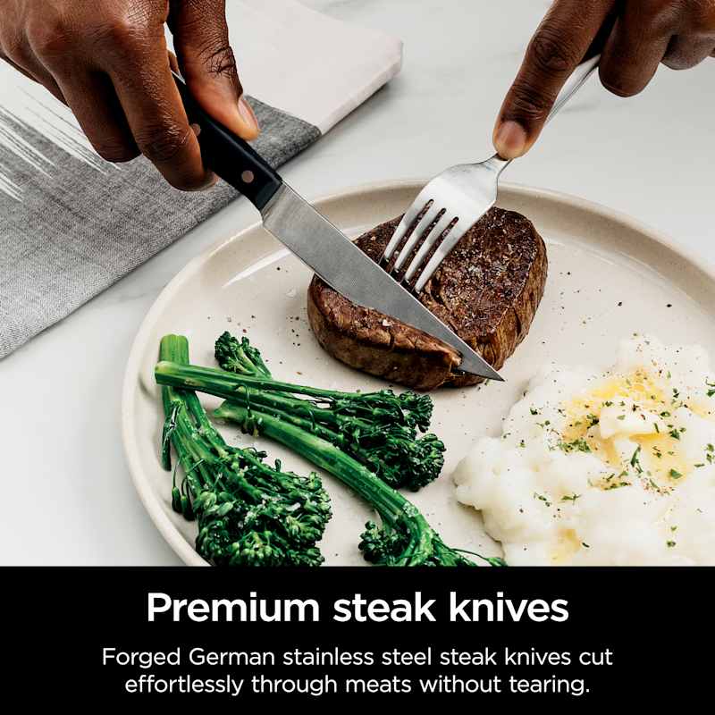 Ninja NeverDull 17-Piece Premium Knife System Ninja NeverDull 17-Piece Premium Knife System