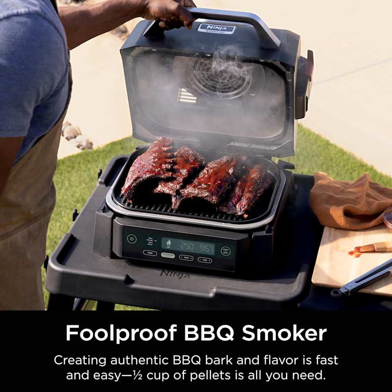 Ninja Woodfire® Outdoor Grill & Smoker Ninja Woodfire® Outdoor Grill & Smoker