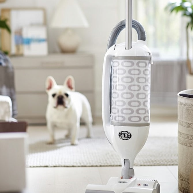 Vacuums for Pet Dander Vacuums for Pet Dander