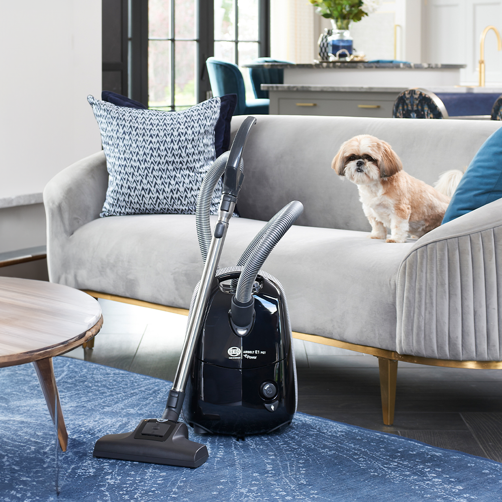Choosing the Right Vacuum Choosing the Right Vacuum