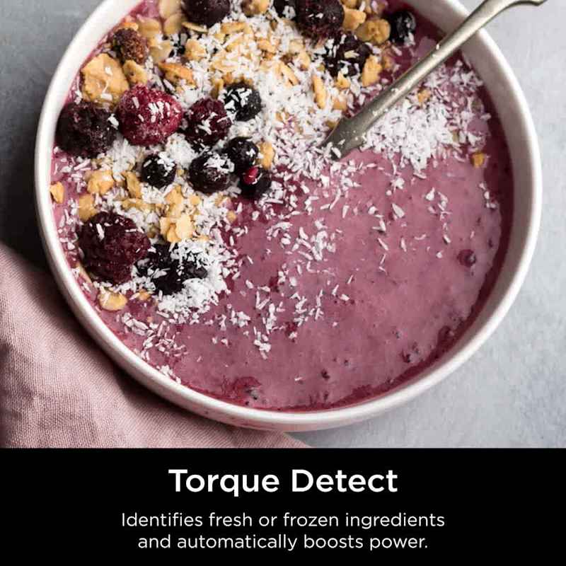 Ninja Detect™ Duo® Power Blender Smoothie Maker with BlendSense™ Ninja Detect™ Duo® Power Blender Smoothie Maker with BlendSense™