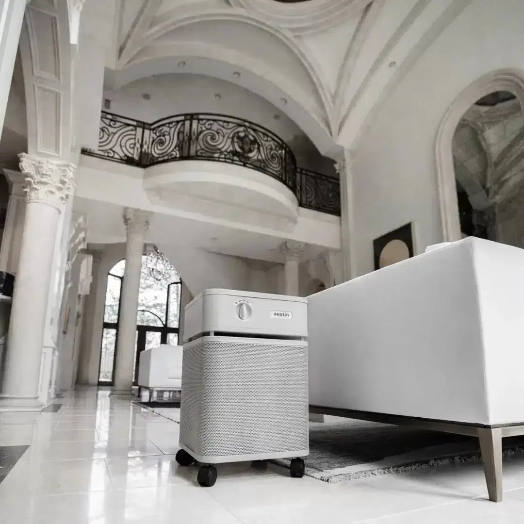 Austin Air Healthmate Plus (Sand) Austin Air Healthmate Plus (Sand)