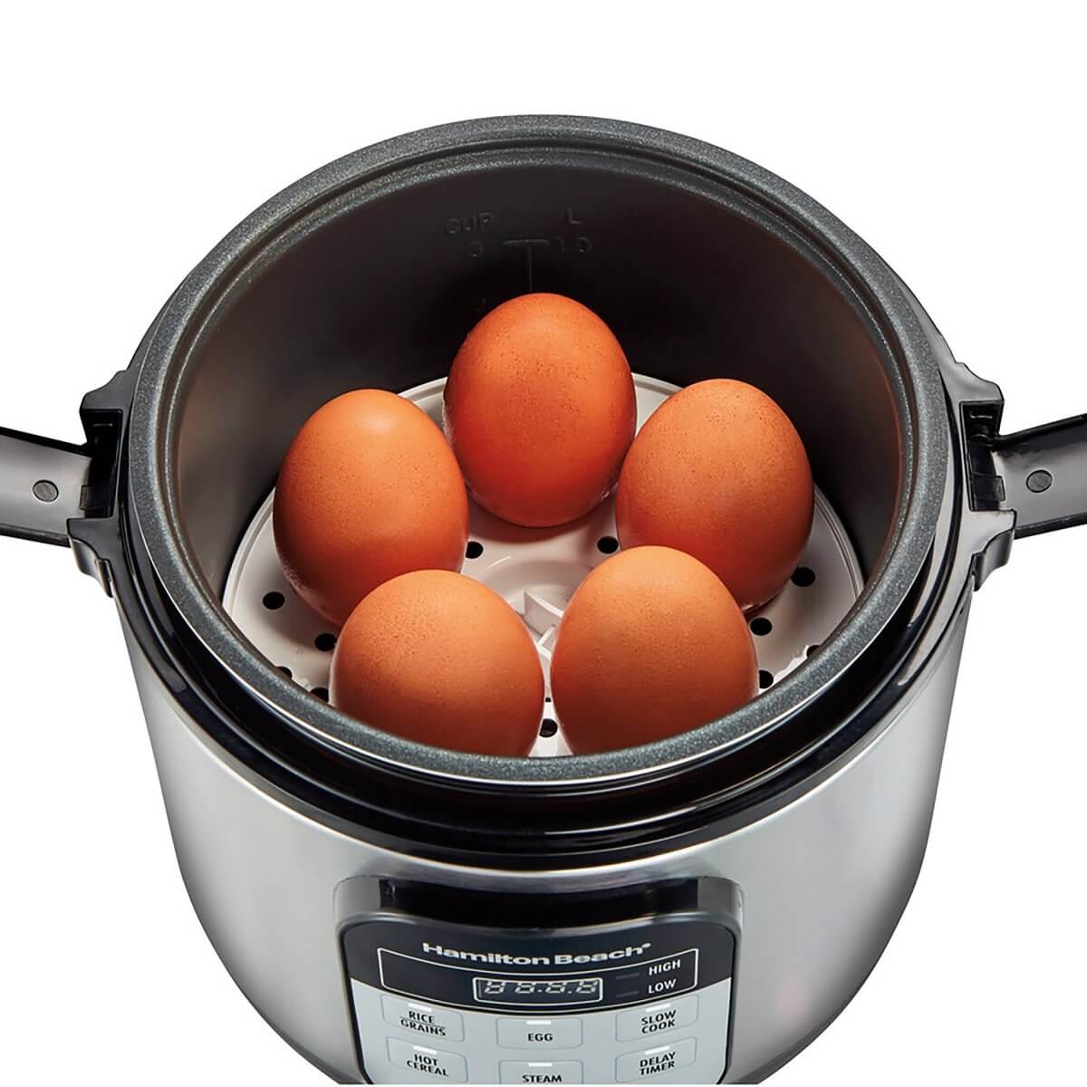 Hamilton Beach 1.5-Quart Compact Multi-Cooker Hamilton Beach 1.5-Quart Compact Multi-Cooker