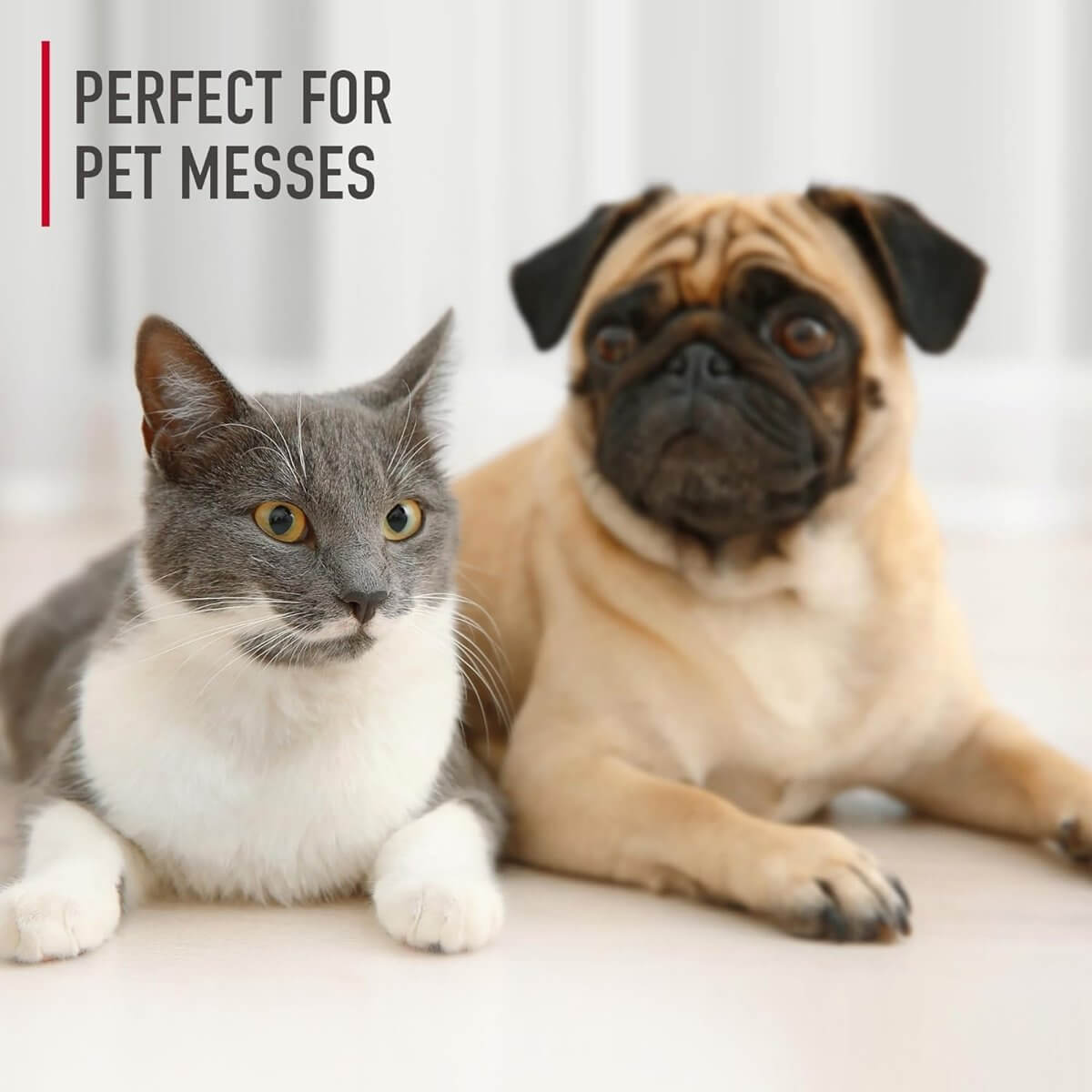 Hoover Paws & Claws Carpet Cleaning Solution 64 oz. Hoover Paws & Claws Carpet Cleaning Solution 64 oz.