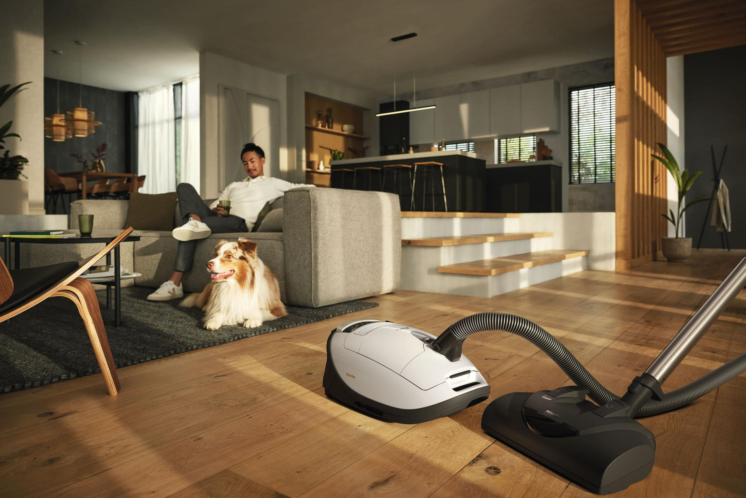 Miele Cat And Dog Erfahrungen