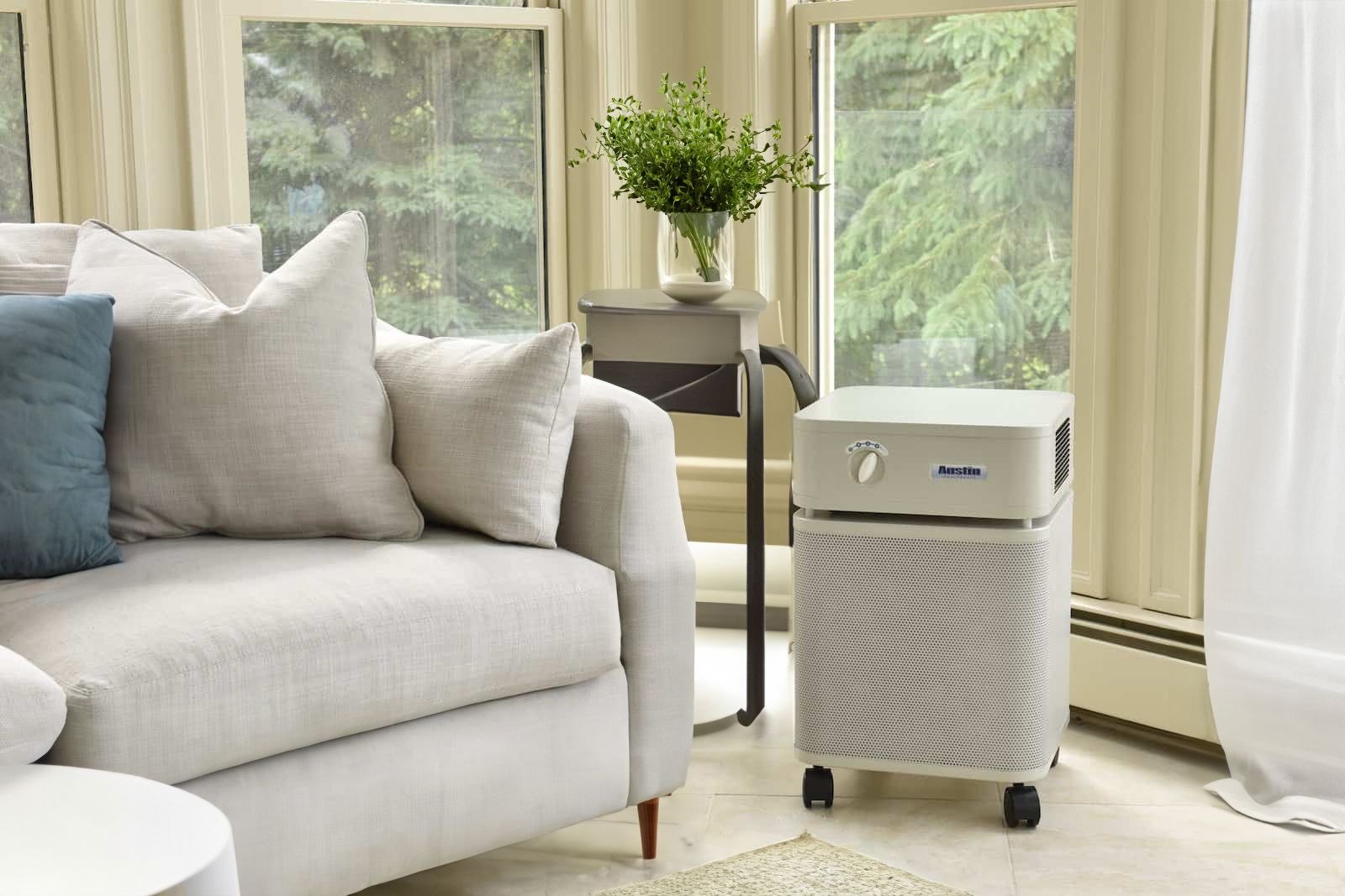 Air Purifiers for Allergy Concerns