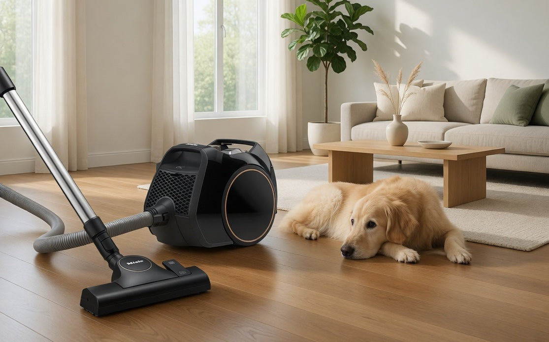 Bagless Vacuums