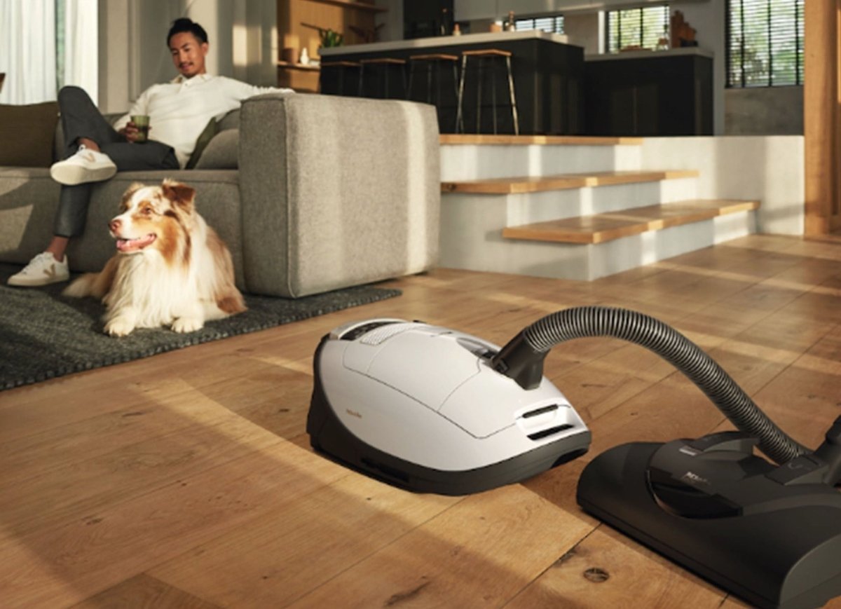 Vacuum Bags & Filters for Pet Dander