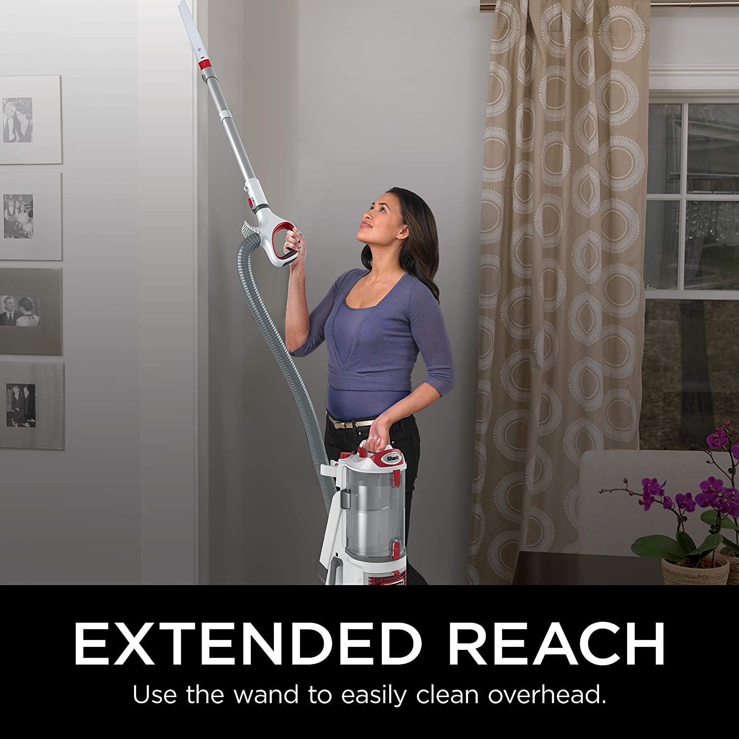 Shark Rotator Professional Lift-Away Upright Vacuum
