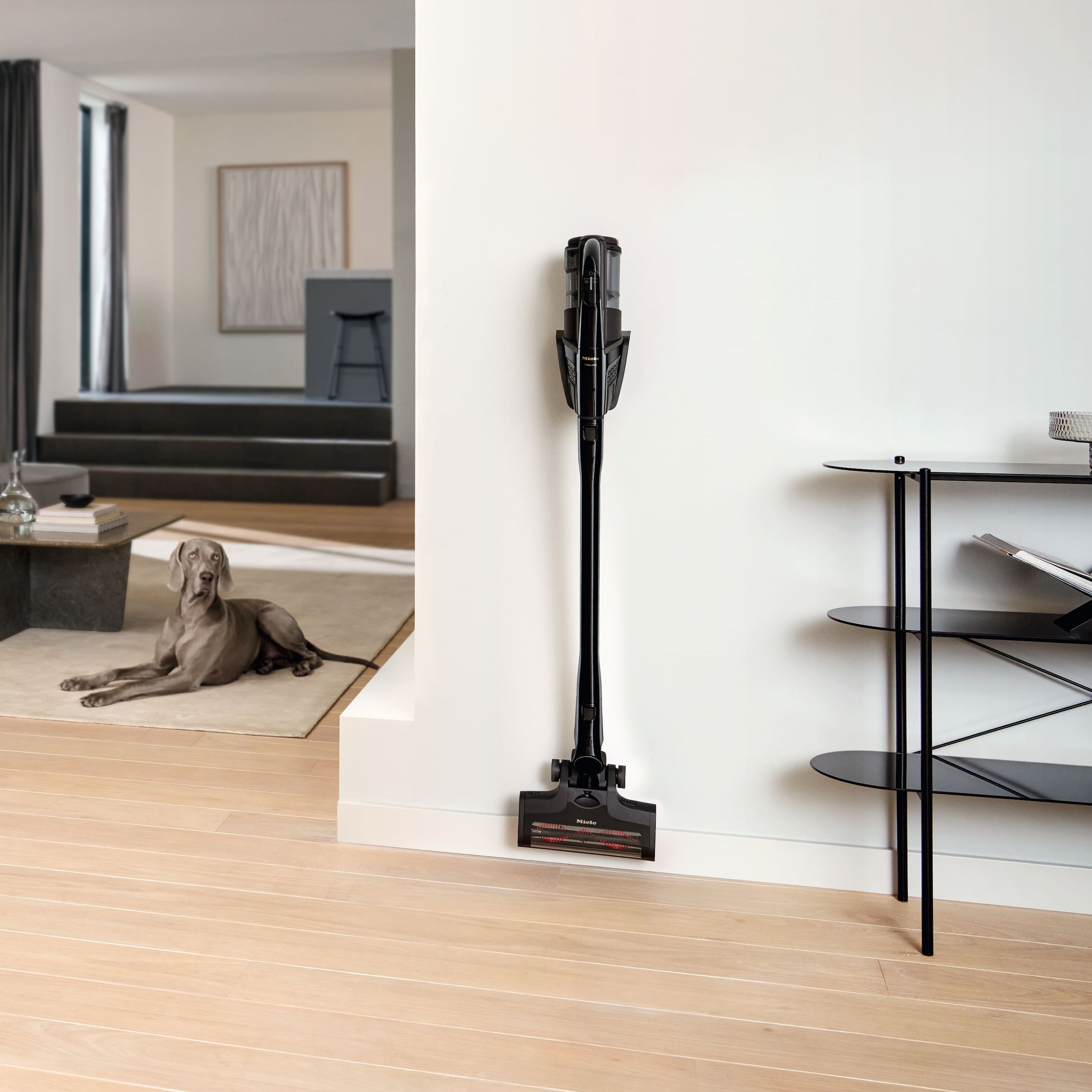 Miele Triflex HX3 Cat & Dog, Obsidian Black - Stick, Cordless Vacuum