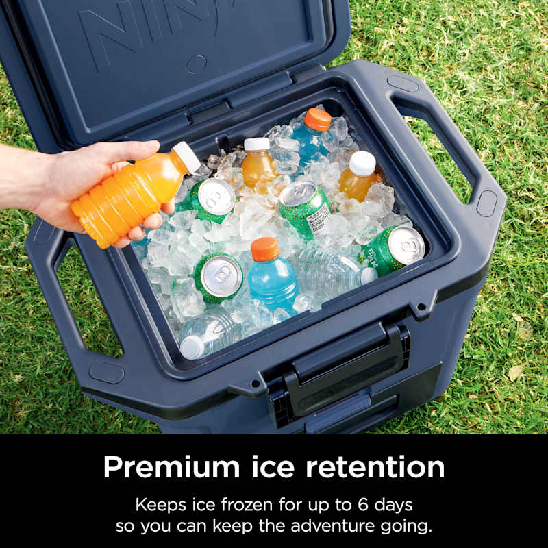 Ninja FrostVault™ 30qt Hard Cooler with Cold Dry Zone, Lakeshore Blue
