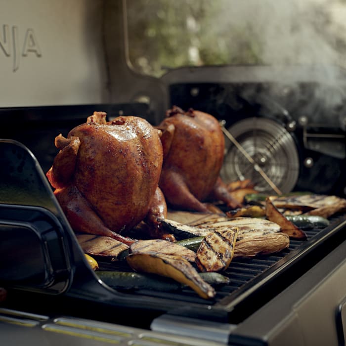 Ninja™ FlexFlame™ Outdoor Cooking System, Stainless Steel