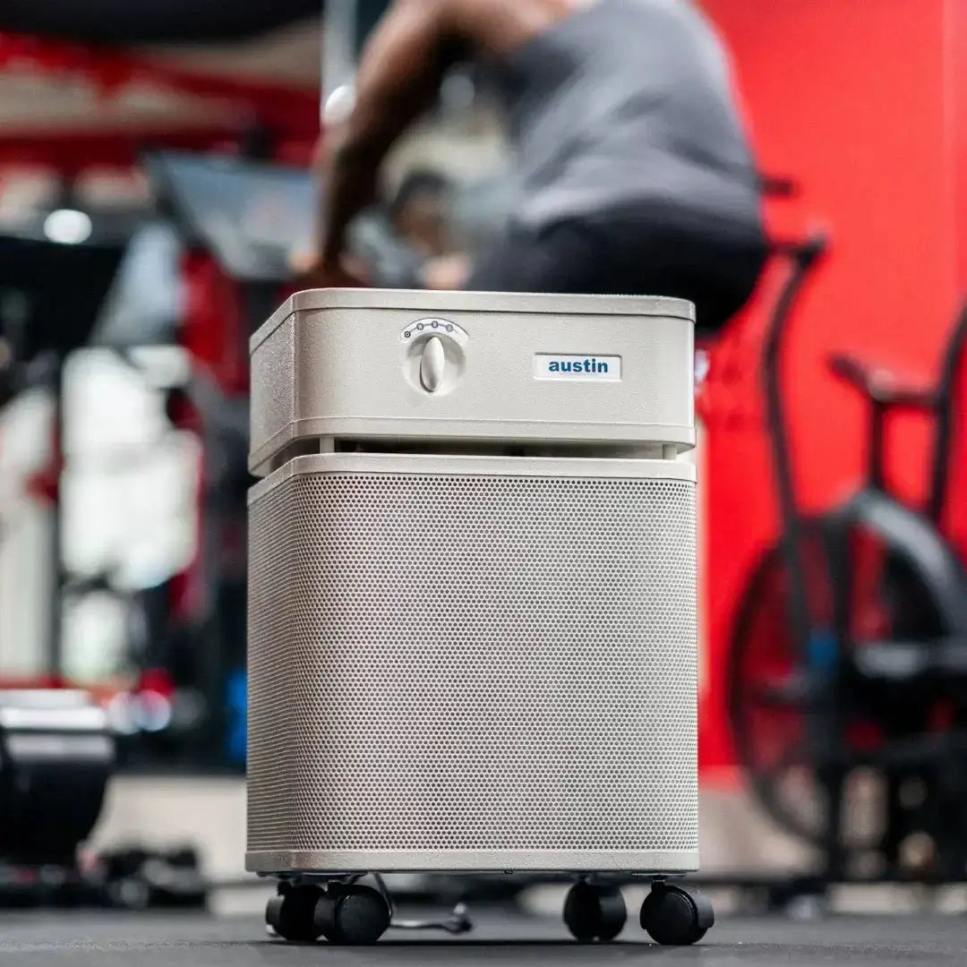 Austin Air Healthmate Plus