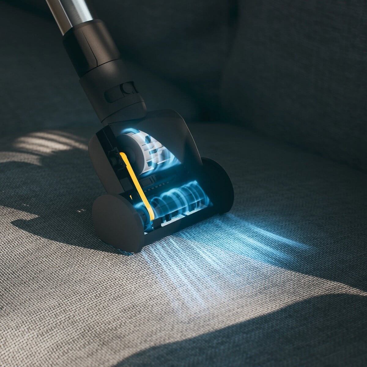 Miele Blizzard CX1 Cat & Dog Bagless Vacuum – BestVacuum.com