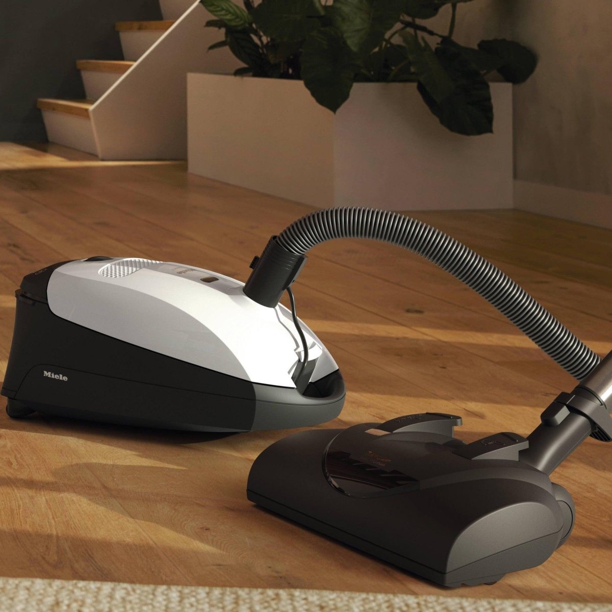 Miele Classic C1 Cat & Dog - BestVacuum.com